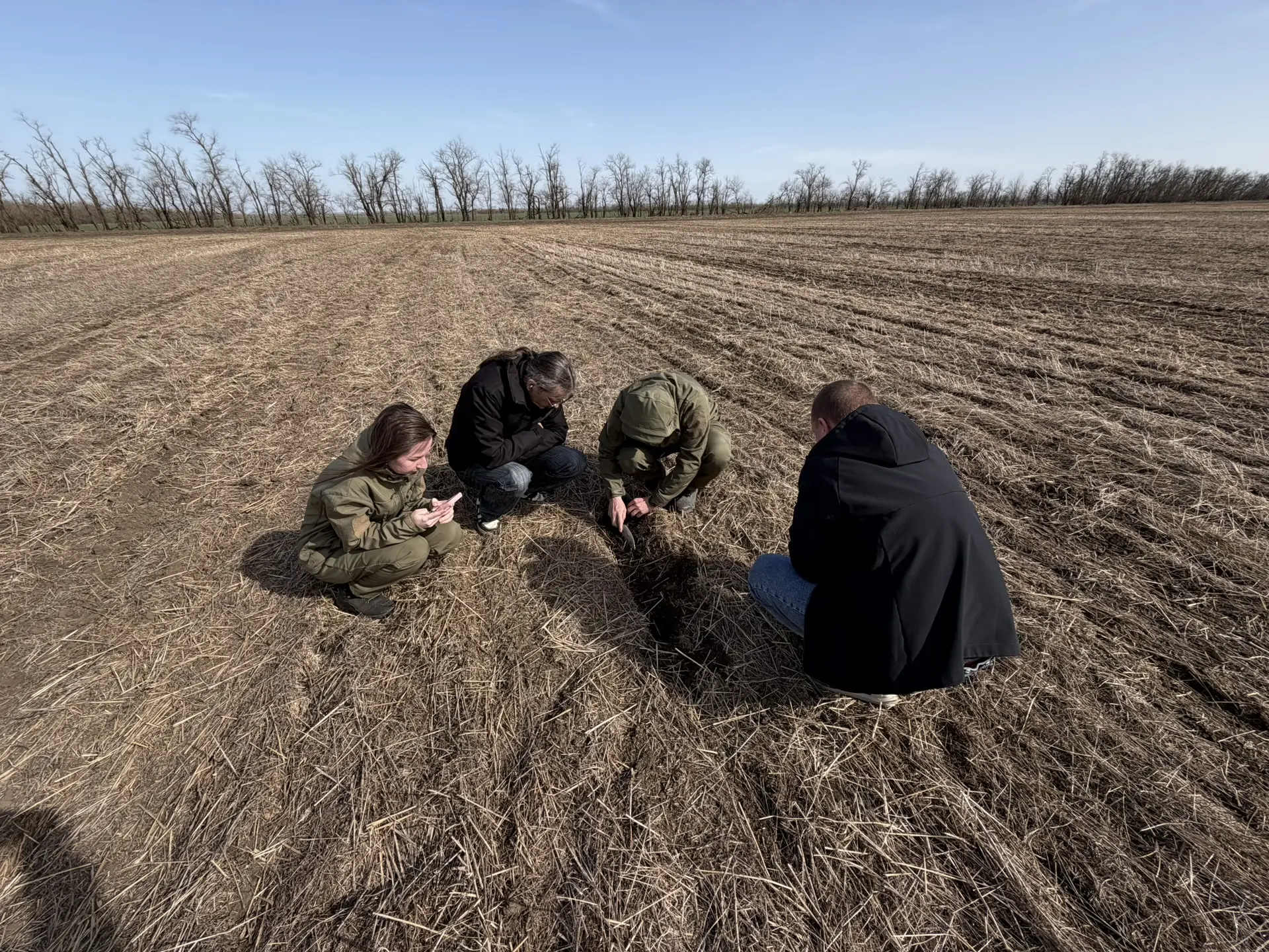 Сев гороха в АХ «Степь»